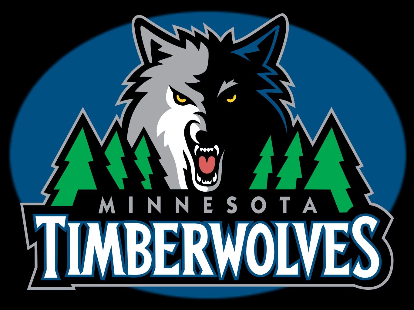 Minnesota Timberwolves Tickets