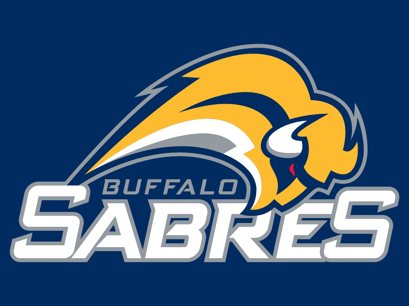 Buffalo Sabres Tickets Seat 